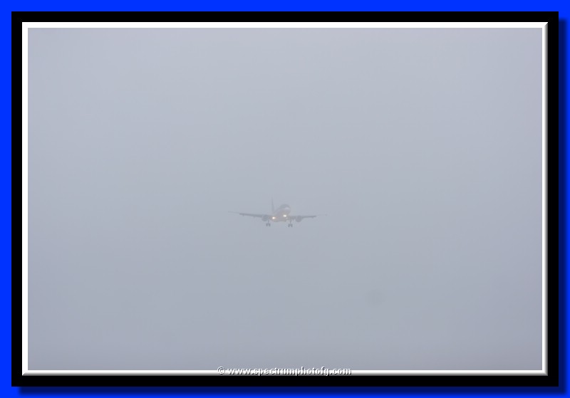 IMG_5182pp.jpg