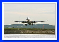 IMG_0158_cr.jpg