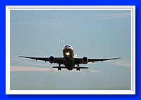 IMG_0207pp.jpg
