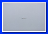 IMG_5182pp.jpg