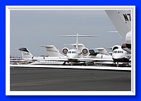 IMG_5326pp.jpg