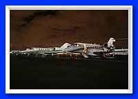 IMG_5345pp.jpg