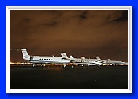 IMG_5347pp.jpg
