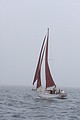 IMG_2366.JPG
