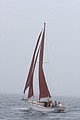 IMG_2367.JPG