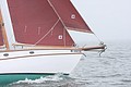 IMG_2370.JPG