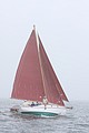 IMG_2372.JPG