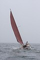 IMG_2375.JPG