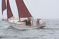 IMG_2377.JPG