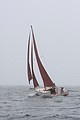 IMG_2378.JPG