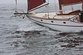 IMG_2379.JPG