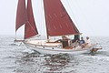 IMG_2380.JPG
