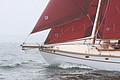 IMG_2382.JPG
