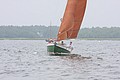 IMG_2387.JPG