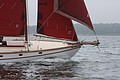 IMG_2419.JPG