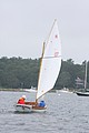 IMG_2426.JPG