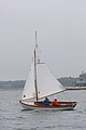 IMG_2429.JPG