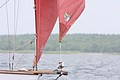 IMG_2443.JPG