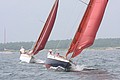 IMG_2455.JPG