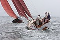 IMG_2466.JPG