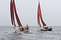IMG_2471.JPG