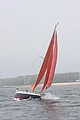 IMG_2481.JPG