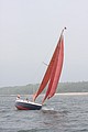 IMG_2482.JPG