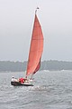 IMG_2485.JPG