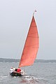 IMG_2487.JPG