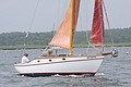 IMG_2500.JPG