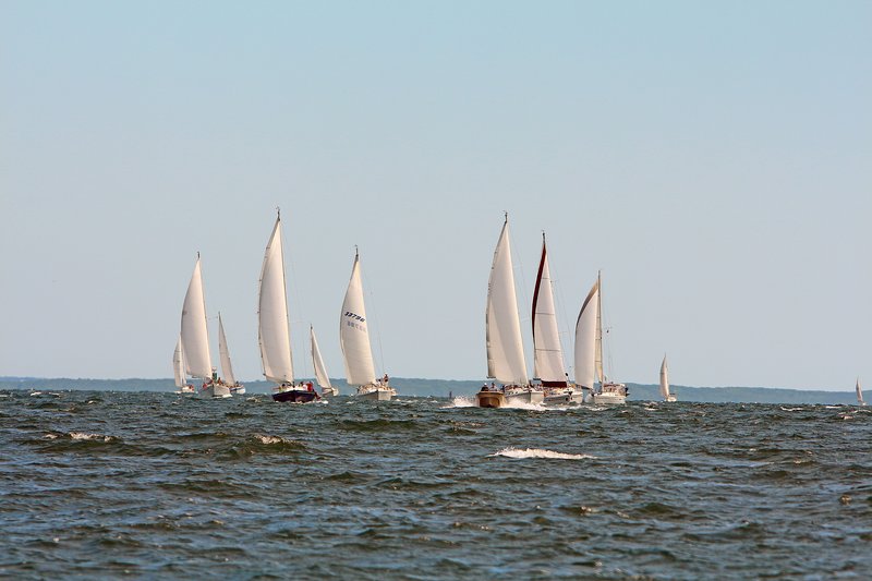 IMG_6413.JPG