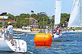 IMG_6009.JPG