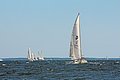 IMG_6403.JPG
