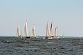 IMG_6413.JPG