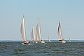 IMG_6414.JPG