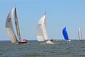IMG_6510.JPG