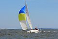 IMG_6528.JPG