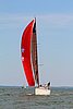 IMG_6554.JPG
