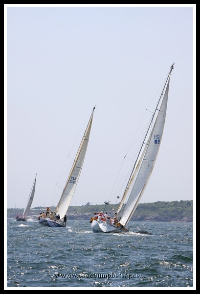 NPTBDA088.JPG