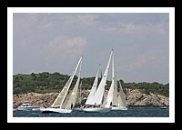 NPTBDA004.JPG