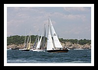 NPTBDA008.JPG