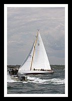NPTBDA016.JPG