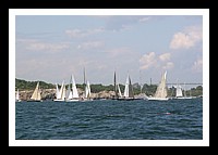 NPTBDA028.JPG