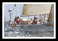 NPTBDA077.JPG