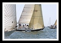 NPTBDA081.JPG