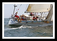 NPTBDA082.JPG