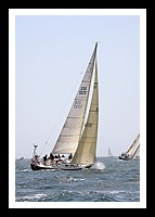 NPTBDA085.JPG