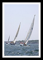 NPTBDA088.JPG