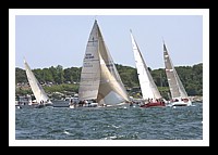 NPTBDA137.JPG