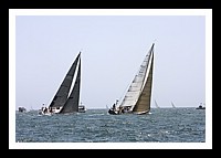NPTBDA146.JPG